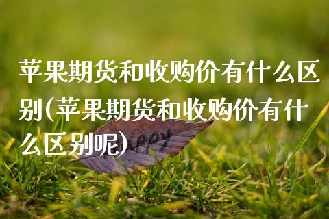 苹果期货和收购价有什么区别(苹果期货和收购价有什么区别呢)_https://www.zghnxxa.com_期货直播室_第1张