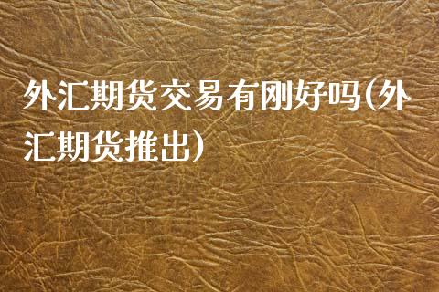 外汇期货交易有刚好吗(外汇期货推出)_https://www.zghnxxa.com_内盘期货_第1张