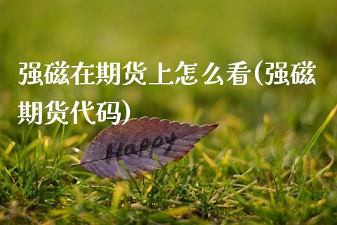 强磁在期货上怎么看(强磁期货代码)_内盘期货_第1张_期货直播室 强磁在期货上怎么看(强磁期货代码)_https://www.zghnxxa.com_内盘期货_第1张