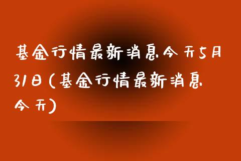 基金行情最新消息今天5月31日(基金行情最新消息今天)_https://www.zghnxxa.com_内盘期货_第1张