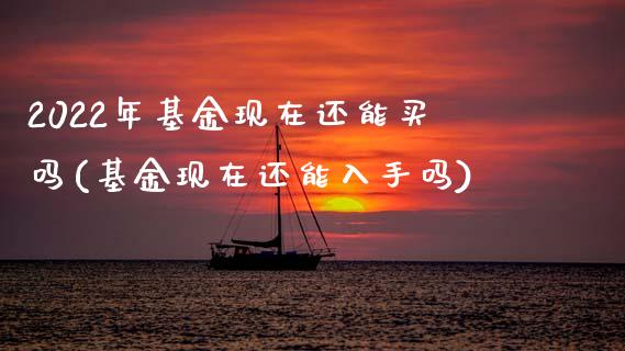 2022年基金现在还能买吗(基金现在还能入手吗)_https://www.zghnxxa.com_内盘期货_第1张