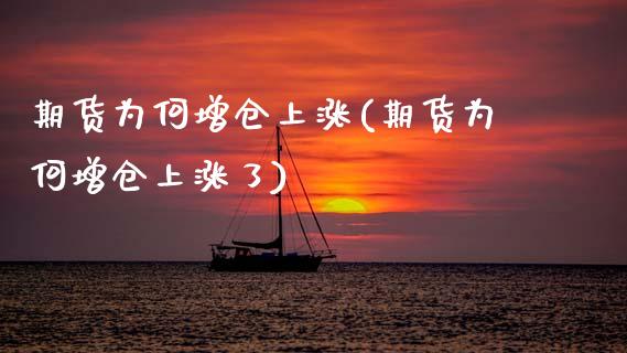 期货为何增仓上涨(期货为何增仓上涨了)_https://www.zghnxxa.com_黄金期货_第1张