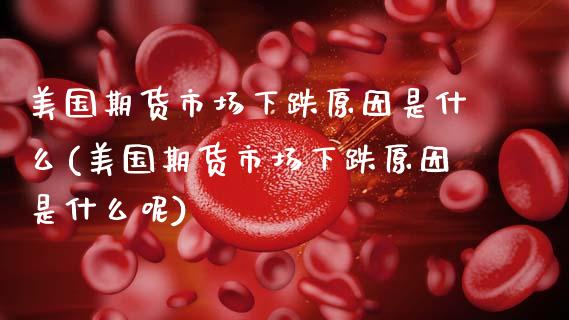 美国期货市场下跌原因是什么(美国期货市场下跌原因是什么呢)_https://www.zghnxxa.com_内盘期货_第1张