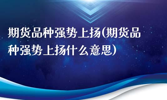 期货品种强势上扬(期货品种强势上扬什么意思)_https://www.zghnxxa.com_国际期货_第1张