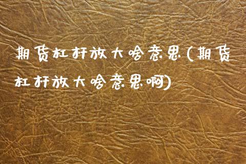 期货杠杆放大啥意思(期货杠杆放大啥意思啊)_https://www.zghnxxa.com_国际期货_第1张