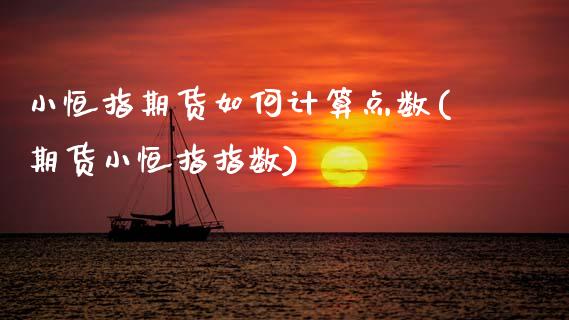 小恒指期货如何计算点数(期货小恒指指数)_https://www.zghnxxa.com_内盘期货_第1张