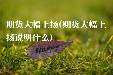 期货大幅上扬(期货大幅上扬说明什么)_内盘期货_第1张_期货直播室 期货大幅上扬(期货大幅上扬说明什么)_https://www.zghnxxa.com_内盘期货_第1张