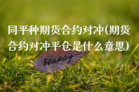 同平种期货合约对冲(期货合约对冲平仓是什么意思)_内盘期货_第1张_期货直播室 同平种期货合约对冲(期货合约对冲平仓是什么意思)_https://www.zghnxxa.com_内盘期货_第1张