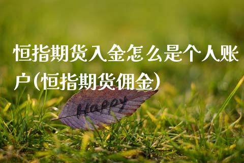 恒指期货入金怎么是个人账户(恒指期货佣金)_https://www.zghnxxa.com_期货直播室_第1张