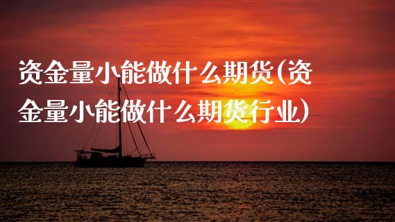 资金量小能做什么期货(资金量小能做什么期货行业)_https://www.zghnxxa.com_国际期货_第1张