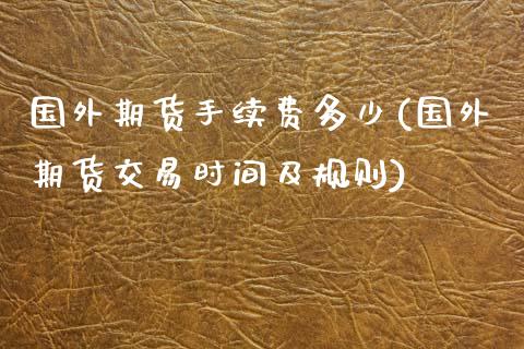 国外期货手续费多少(国外期货交易时间及规则)_https://www.zghnxxa.com_国际期货_第1张