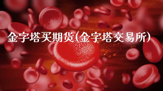 金字塔买期货(金字塔交易所)_国际期货_第1张_期货直播室 金字塔买期货(金字塔交易所)_https://www.zghnxxa.com_国际期货_第1张