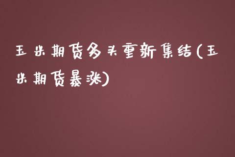 玉米期货多头重新集结(玉米期货暴涨)_https://www.zghnxxa.com_国际期货_第1张