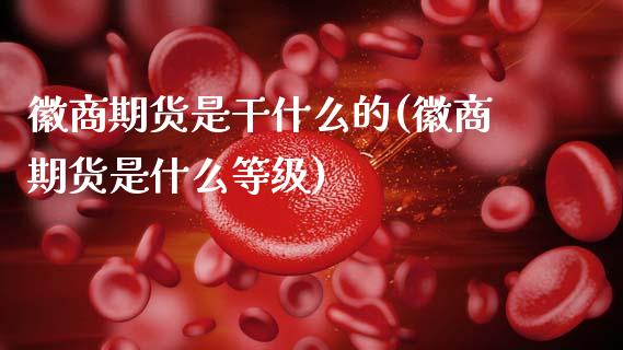 徽商期货是干什么的(徽商期货是什么等级)_内盘期货_第1张_期货直播室 徽商期货是干什么的(徽商期货是什么等级)_https://www.zghnxxa.com_内盘期货_第1张