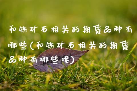 和铁矿石相关的期货品种有哪些(和铁矿石相关的期货品种有哪些呢)_https://www.zghnxxa.com_期货直播室_第1张