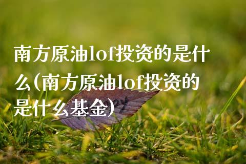 南方原油lof投资的是什么(南方原油lof投资的是什么基金)_https://www.zghnxxa.com_内盘期货_第1张