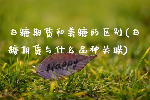 白糖期货和美糖的区别(白糖期货与什么品种关联)_https://www.zghnxxa.com_国际期货_第1张