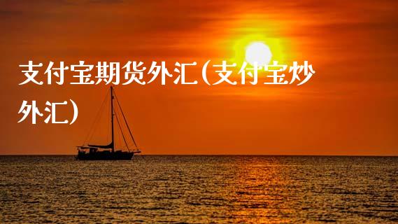 支付宝期货外汇(支付宝炒外汇)_国际期货_第1张_期货直播室 支付宝期货外汇(支付宝炒外汇)_https://www.zghnxxa.com_国际期货_第1张