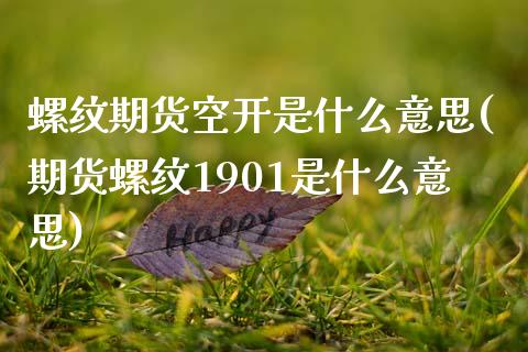 螺纹期货空开是什么意思(期货螺纹1901是什么意思)_https://www.zghnxxa.com_黄金期货_第1张