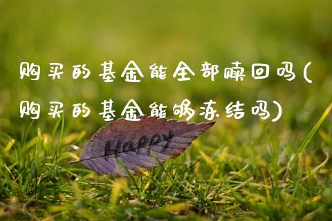 购买的基金能全部赎回吗(购买的基金能够冻结吗)_黄金期货_第1张_期货直播室 购买的基金能全部赎回吗(购买的基金能够冻结吗)_https://www.zghnxxa.com_黄金期货_第1张