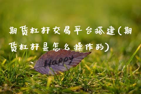 期货杠杆交易平台搭建(期货杠杆是怎么操作的)_https://www.zghnxxa.com_黄金期货_第1张