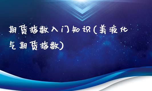 期货指数入门知识(美液化气期货指数)_https://www.zghnxxa.com_国际期货_第1张