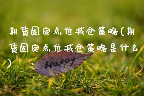 期货固定点位减仓策略(期货固定点位减仓策略是什么)_https://www.zghnxxa.com_期货直播室_第1张