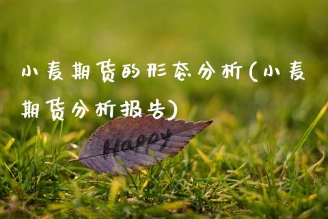 小麦期货的形态分析(小麦期货分析报告)_内盘期货_第1张_期货直播室 小麦期货的形态分析(小麦期货分析报告)_https://www.zghnxxa.com_内盘期货_第1张