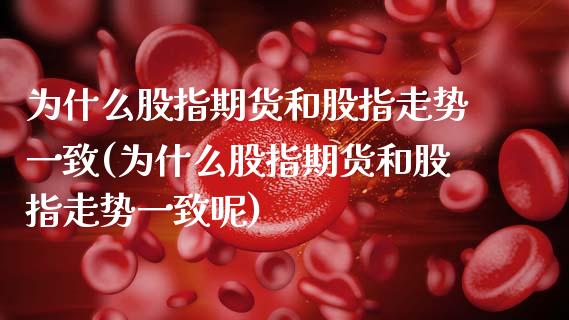 为什么股指期货和股指走势一致(为什么股指期货和股指走势一致呢)_https://www.zghnxxa.com_期货直播室_第1张