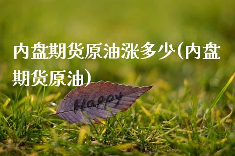 内盘期货原油涨多少(内盘期货原油)_https://www.zghnxxa.com_国际期货_第1张