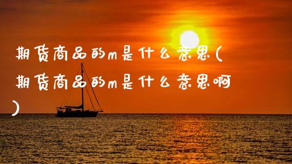 期货商品的m是什么意思(期货商品的m是什么意思啊)_https://www.zghnxxa.com_期货直播室_第1张