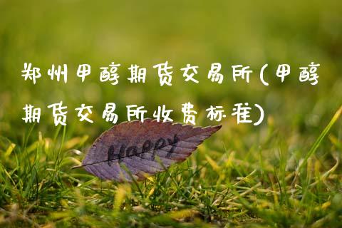 郑州甲醇期货交易所(甲醇期货交易所收费标准)_https://www.zghnxxa.com_期货直播室_第1张