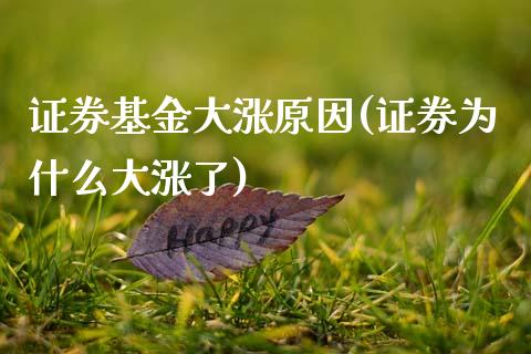 证券基金大涨原因(证券为什么大涨了)_https://www.zghnxxa.com_内盘期货_第1张