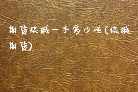 期货烧碱一手多少吨(烧碱期货)_https://www.zghnxxa.com_国际期货_第1张