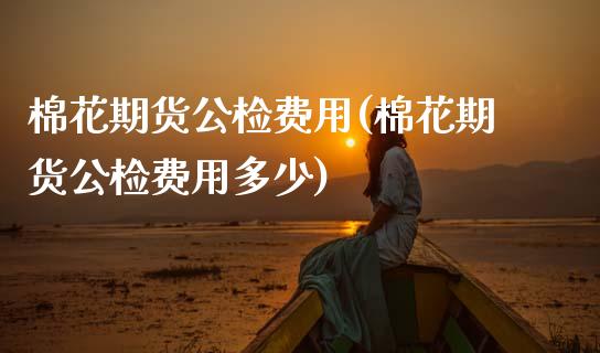 棉花期货公检费用(棉花期货公检费用多少)_https://www.zghnxxa.com_内盘期货_第1张