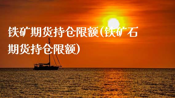 铁矿期货持仓限额(铁矿石期货持仓限额)_https://www.zghnxxa.com_期货直播室_第1张