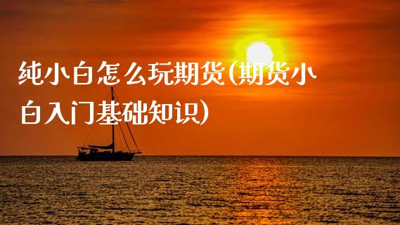 纯小白怎么玩期货(期货小白入门基础知识)_https://www.zghnxxa.com_期货直播室_第1张