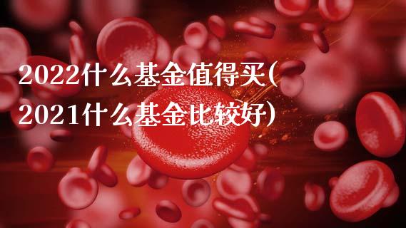 2022什么基金值得买(2021什么基金比较好)_https://www.zghnxxa.com_黄金期货_第1张