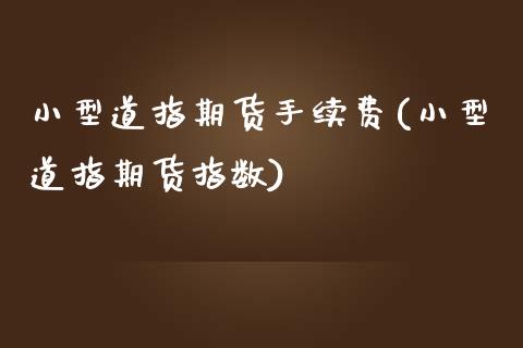 小型道指期货手续费(小型道指期货指数)_https://www.zghnxxa.com_内盘期货_第1张