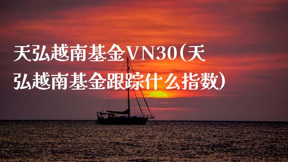 天弘越南基金VN30(天弘越南基金跟踪什么指数)_https://www.zghnxxa.com_黄金期货_第1张