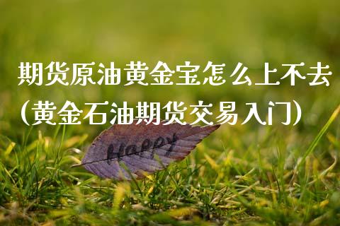 期货原油黄金宝怎么上不去(黄金石油期货交易入门)_https://www.zghnxxa.com_黄金期货_第1张