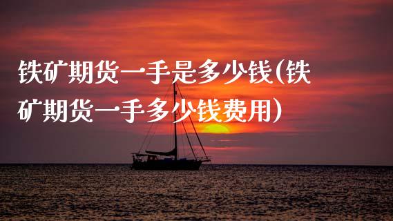 铁矿期货一手是多少钱(铁矿期货一手多少钱费用)_https://www.zghnxxa.com_黄金期货_第1张