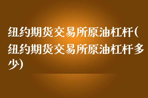 纽约期货交易所原油杠杆(纽约期货交易所原油杠杆多少)_https://www.zghnxxa.com_期货直播室_第1张