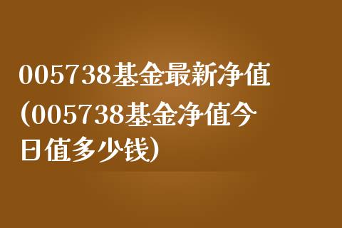 005738基金最新净值(005738基金净值今日值多少钱)_https://www.zghnxxa.com_期货直播室_第1张
