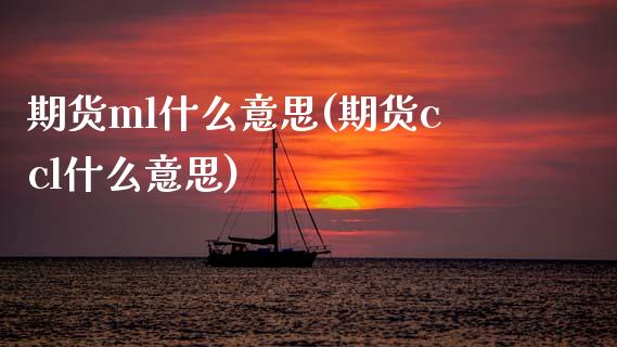 期货ml什么意思(期货ccl什么意思)_https://www.zghnxxa.com_内盘期货_第1张