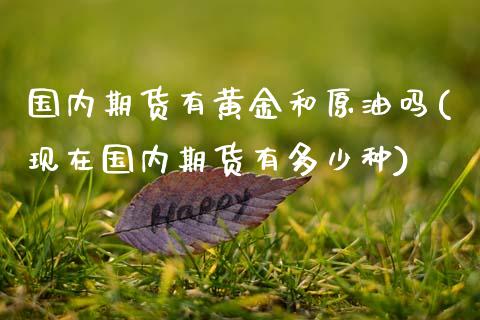 国内期货有黄金和原油吗(现在国内期货有多少种)_https://www.zghnxxa.com_黄金期货_第1张