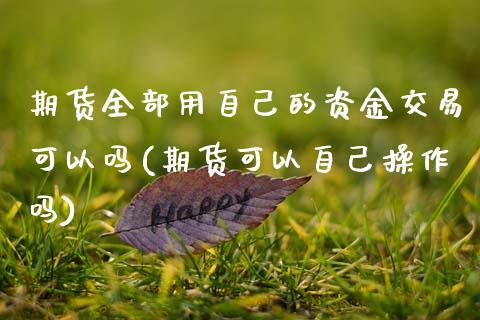 期货全部用自己的资金交易可以吗(期货可以自己操作吗)_https://www.zghnxxa.com_国际期货_第1张