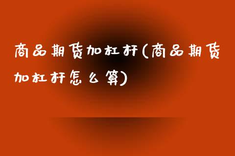 商品期货加杠杆(商品期货加杠杆怎么算)_https://www.zghnxxa.com_国际期货_第1张