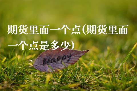 期货里面一个点(期货里面一个点是多少)_https://www.zghnxxa.com_内盘期货_第1张
