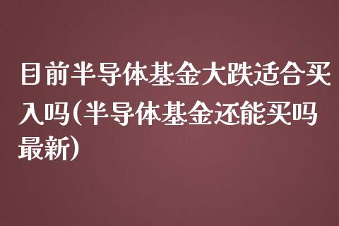 目前半导体基金大跌适合买入吗(半导体基金还能买吗最新)_https://www.zghnxxa.com_内盘期货_第1张